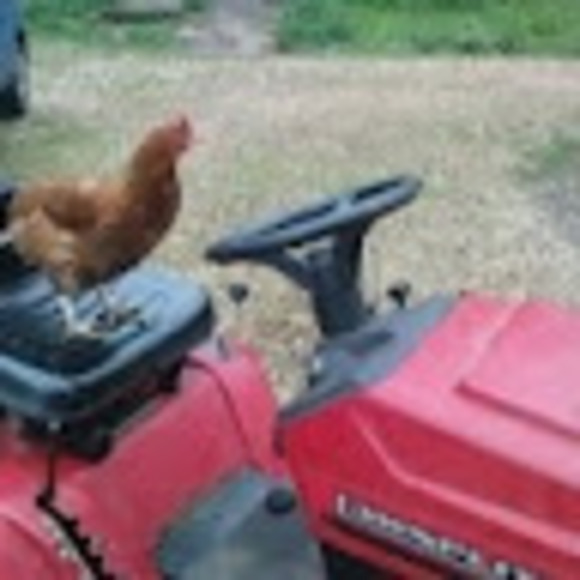 Meet your Posher, Charlotte - Picture 1 of 1